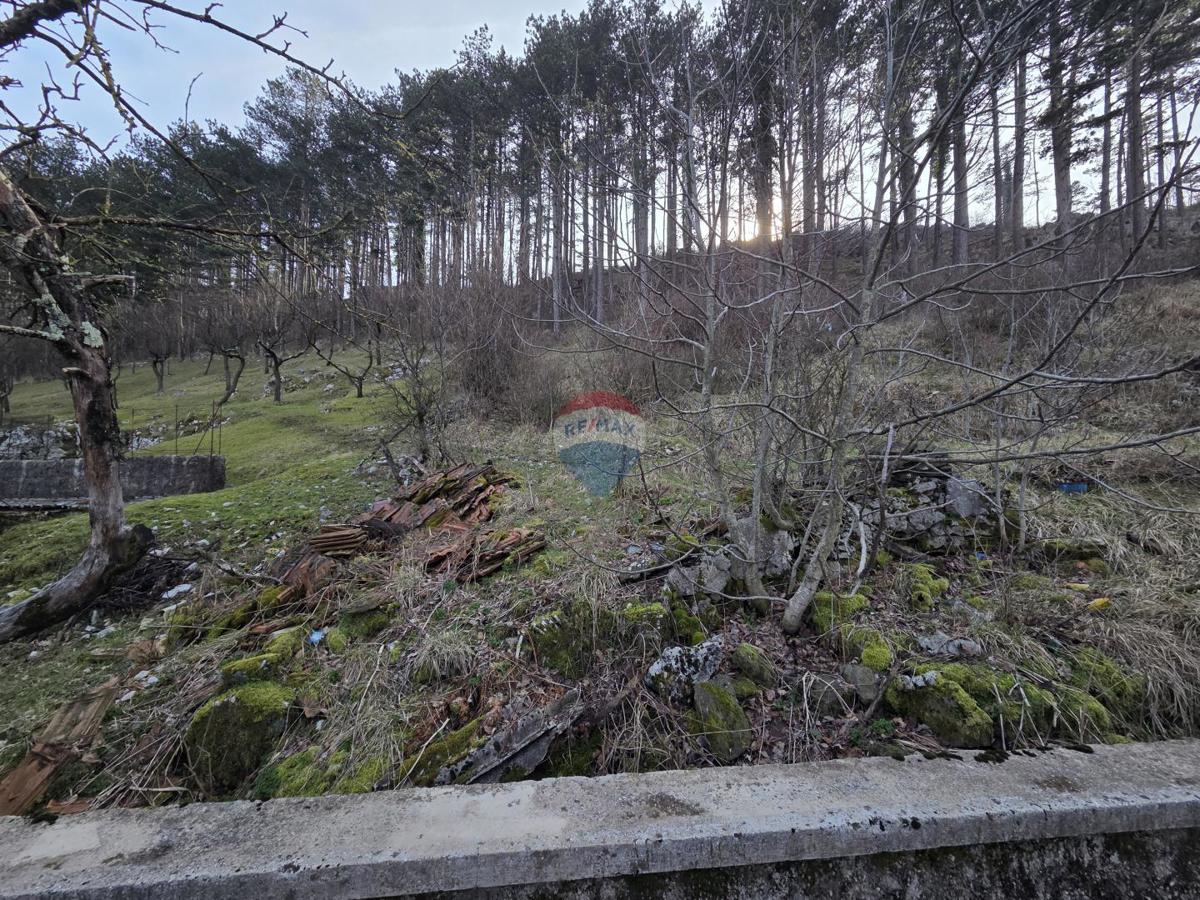 Casa Studena, Klana, 220m2