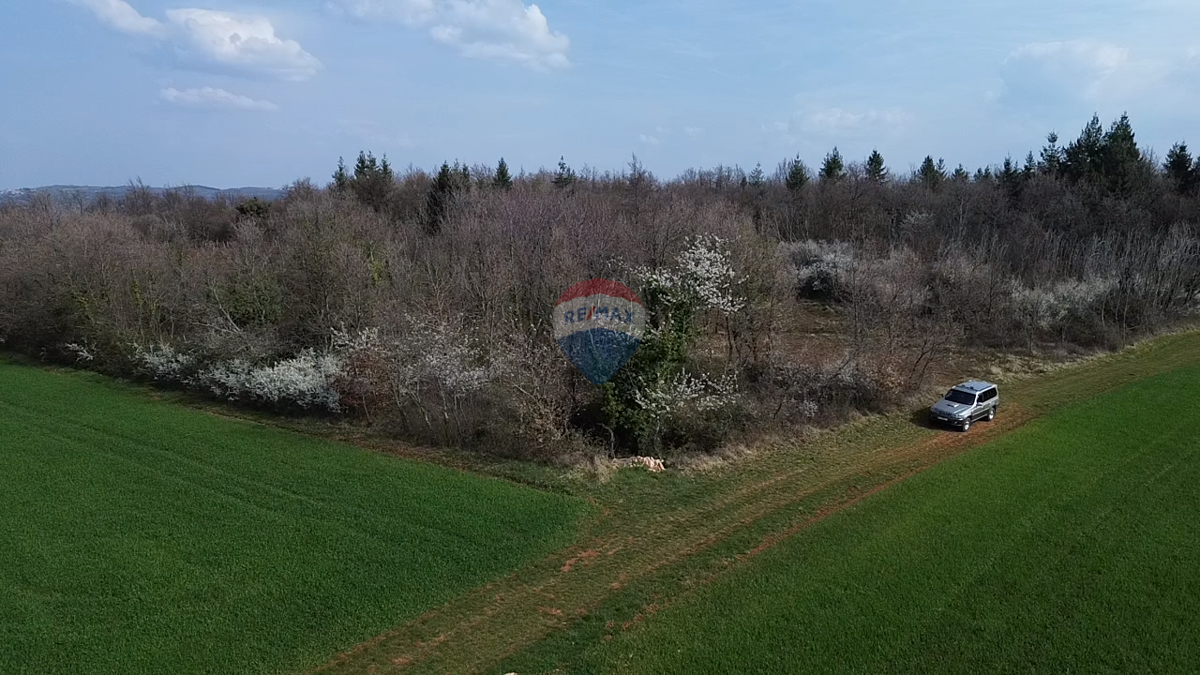 Terreno non edificabile Markovići, Vižinada, 17.273m2