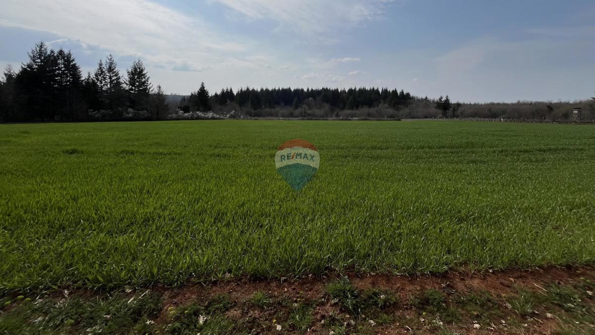 Terreno non edificabile Markovići, Vižinada, 17.273m2