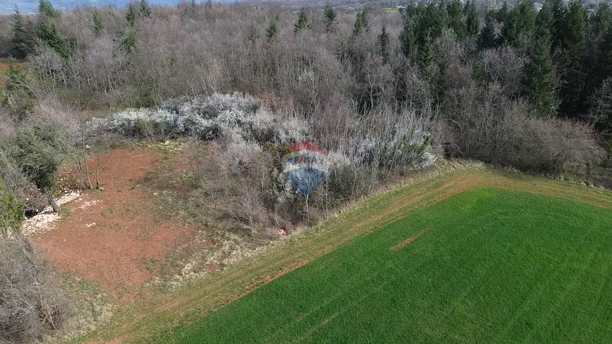 Terreno non edificabile Markovići, Vižinada, 17.273m2