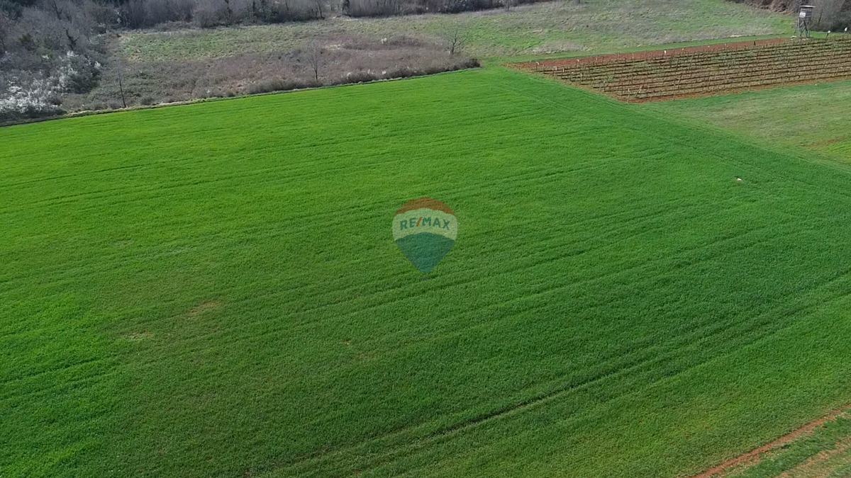 Terreno non edificabile Markovići, Vižinada, 17.273m2