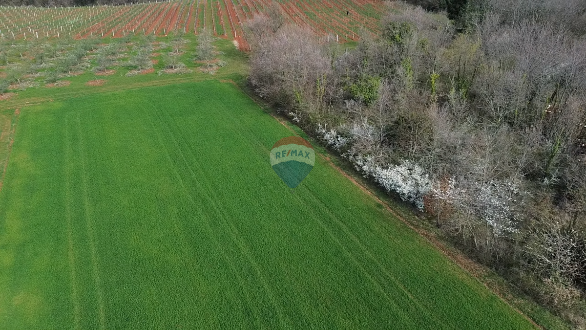 Terreno non edificabile Markovići, Vižinada, 17.273m2