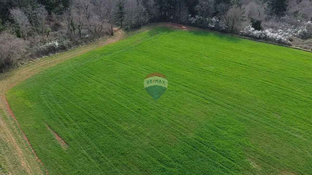 Terreno non edificabile Markovići, Vižinada, 17.273m2