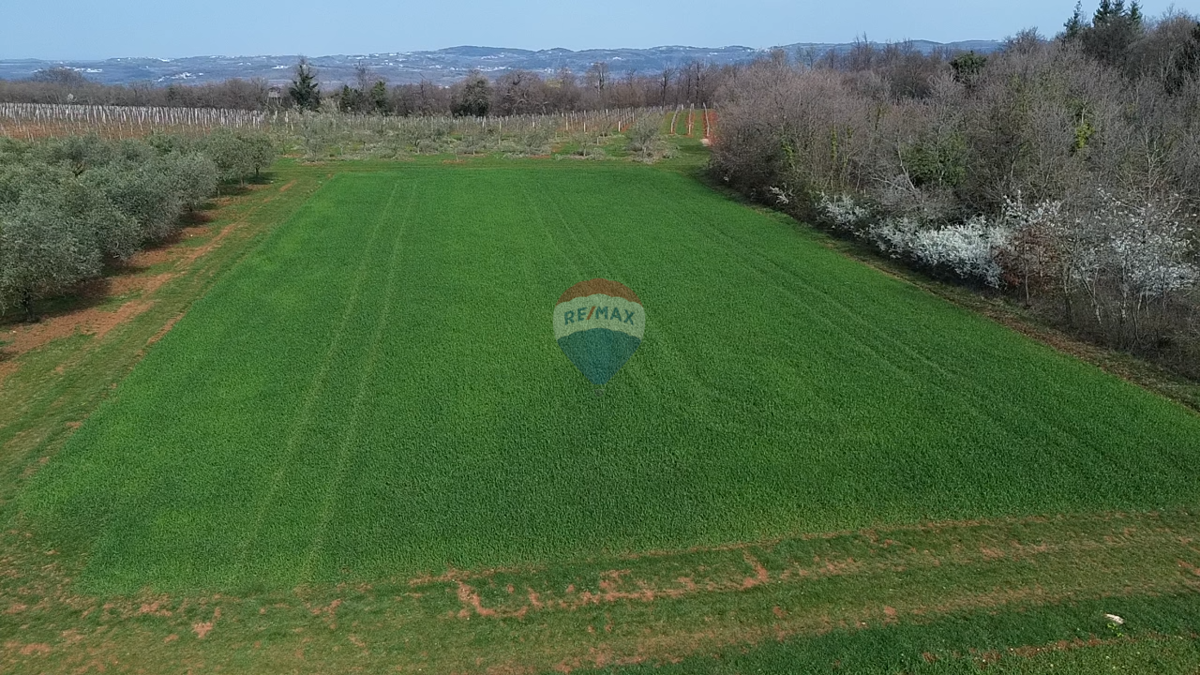 Terreno non edificabile Markovići, Vižinada, 17.273m2