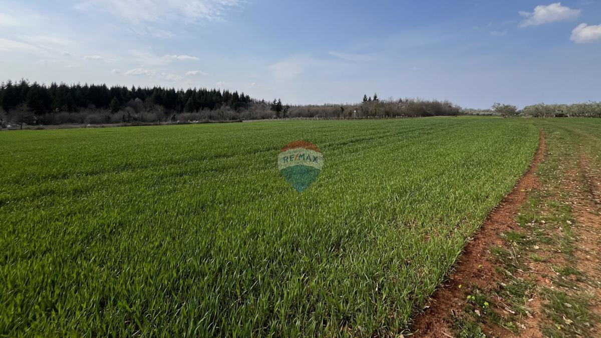 Terreno non edificabile Markovići, Vižinada, 17.273m2