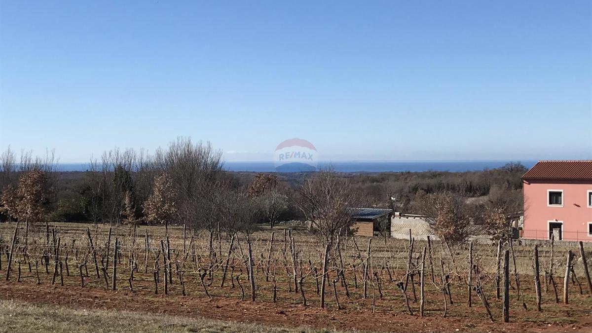 Terreno edificabile Višnjan, 1.027m2