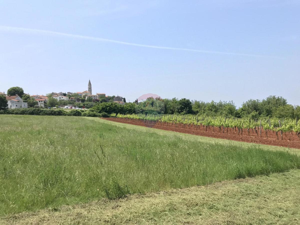 Terreno edificabile Višnjan, 1.027m2