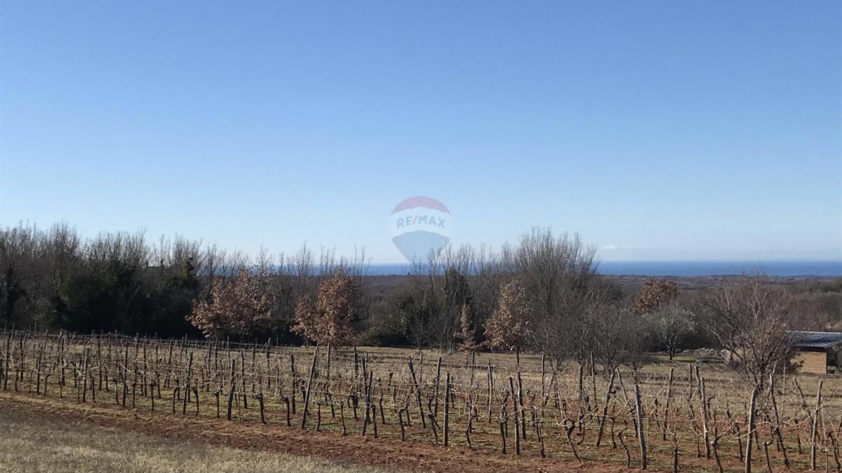 Terreno edificabile Višnjan, 1.027m2