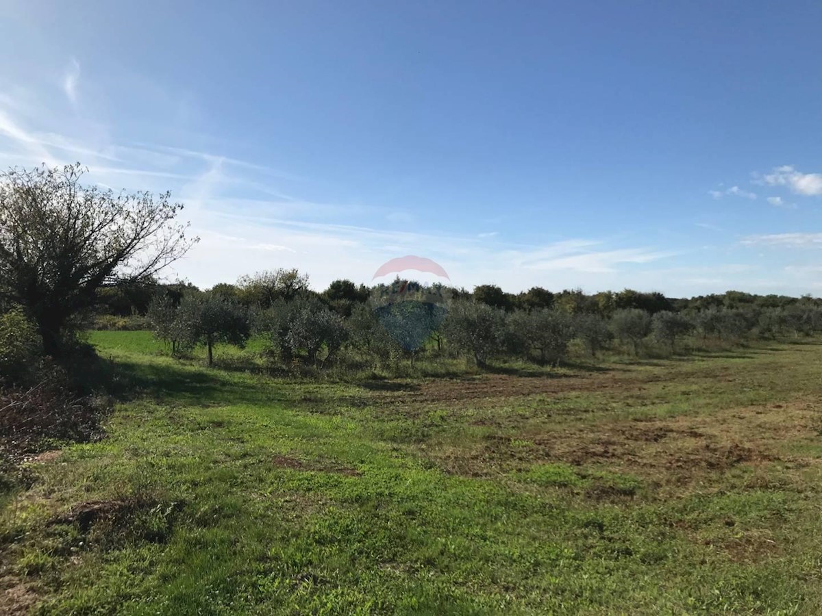 ISTRIA, EASTERN ISTRIA - Building plot 1650 m2