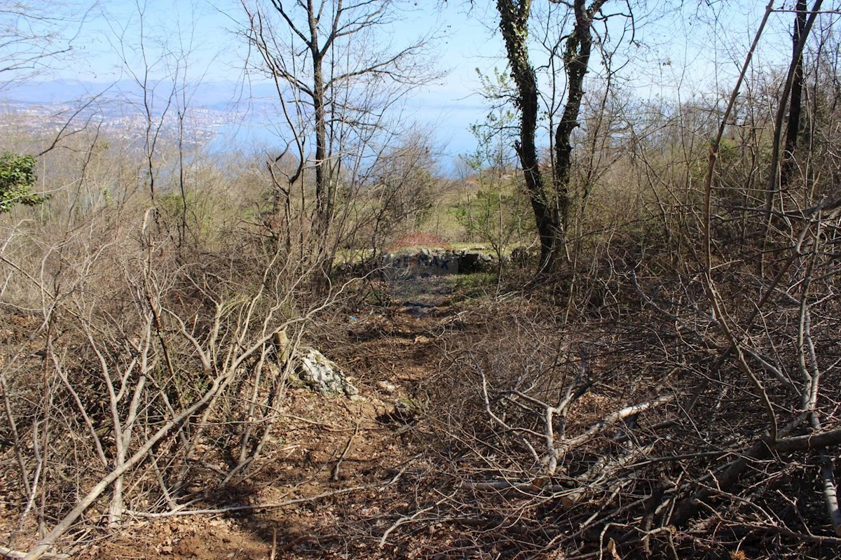 Terreno non edificabile Bregi, Matulji, 5.562m2