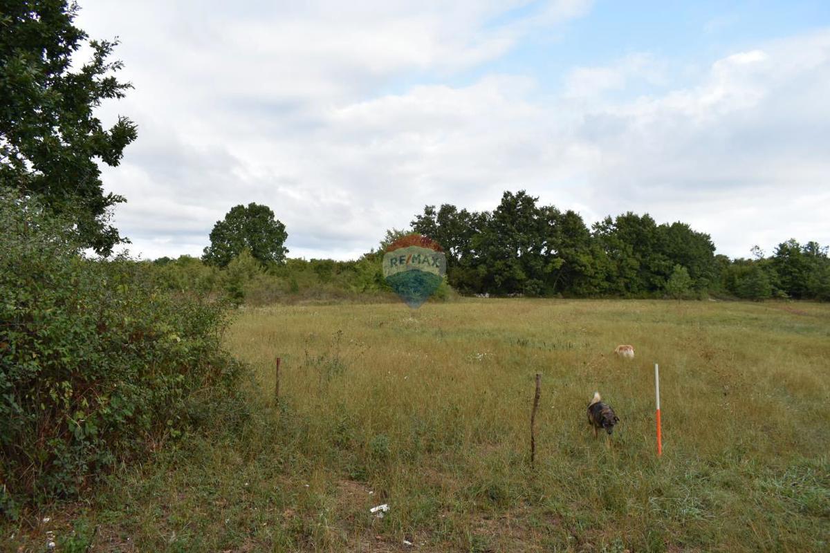 Terreno edificabile Bibići, Svetvinčenat, 3.053m2