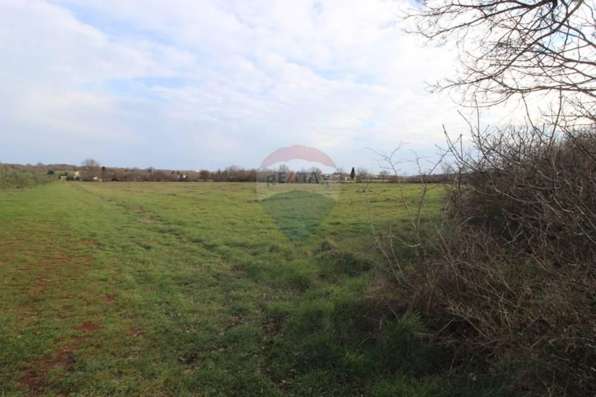 Terreno agricolo Jadreški, Ližnjan, 89.945m2