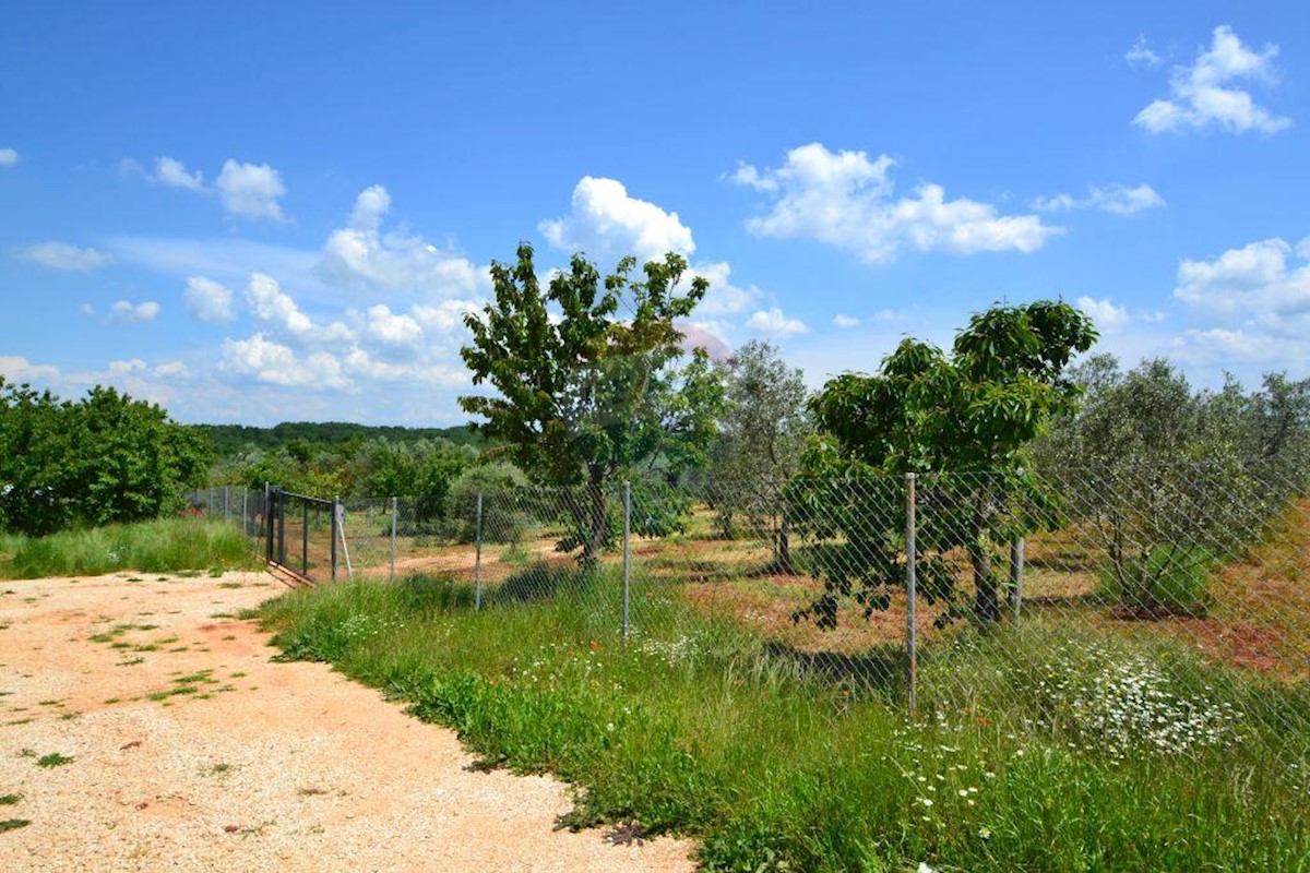 Terreno non edificabile Bužinija, Novigrad, 14.349m2