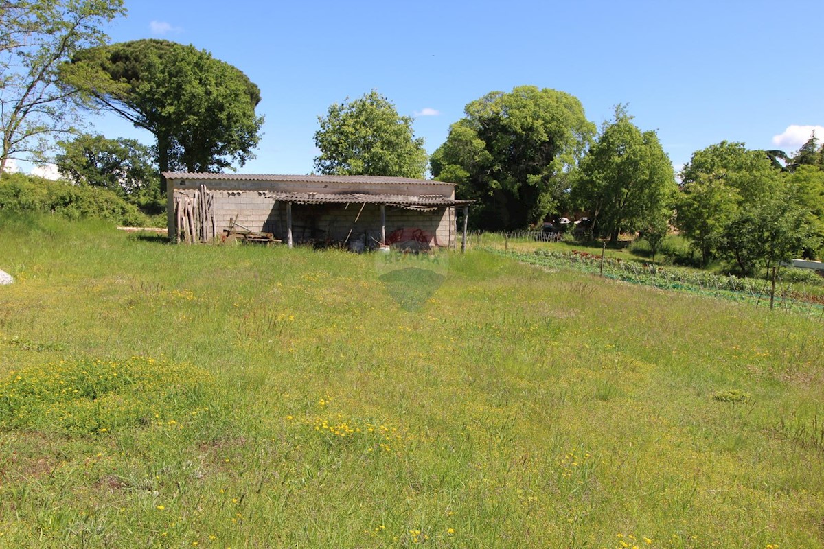 Terreno edificabile Kaštelir, Kaštelir-Labinci, 1.550m2