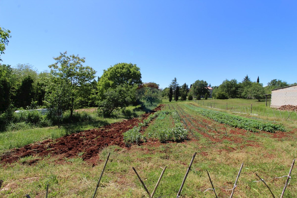 Terreno edificabile Kaštelir, Kaštelir-Labinci, 1.550m2