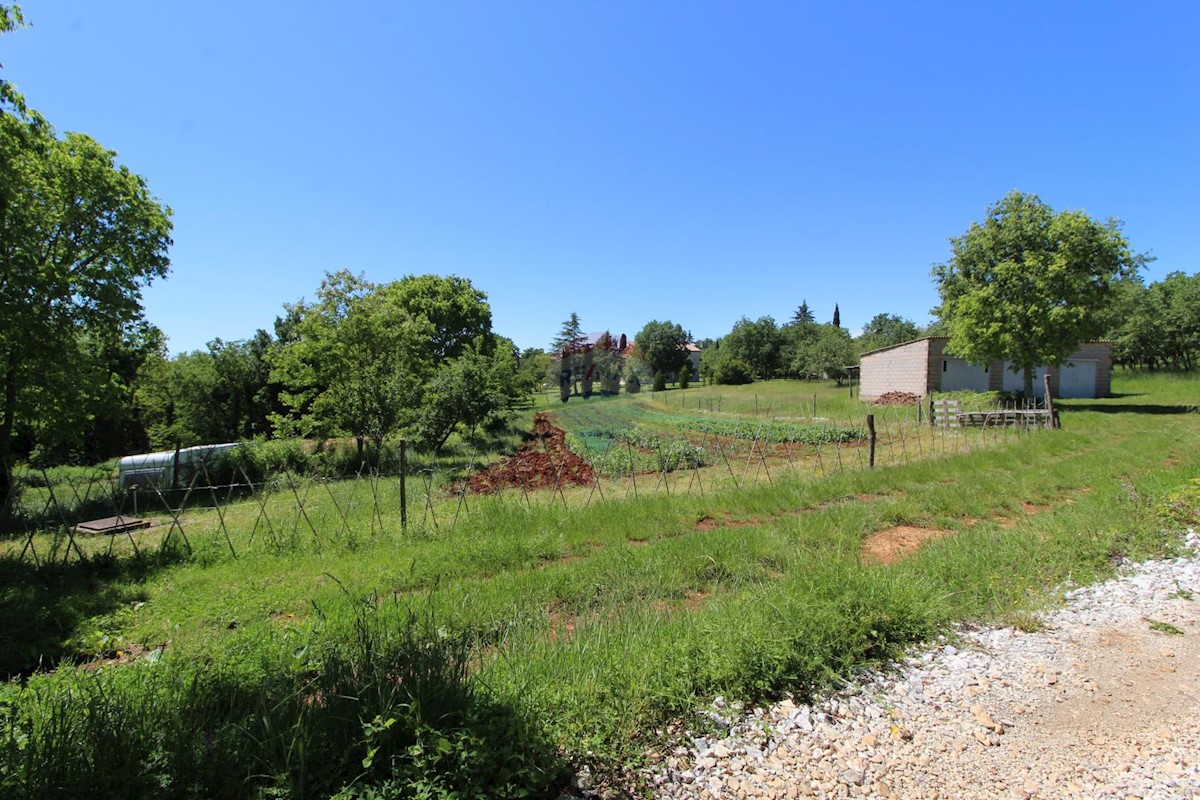 Terreno edificabile Kaštelir, Kaštelir-Labinci, 1.550m2