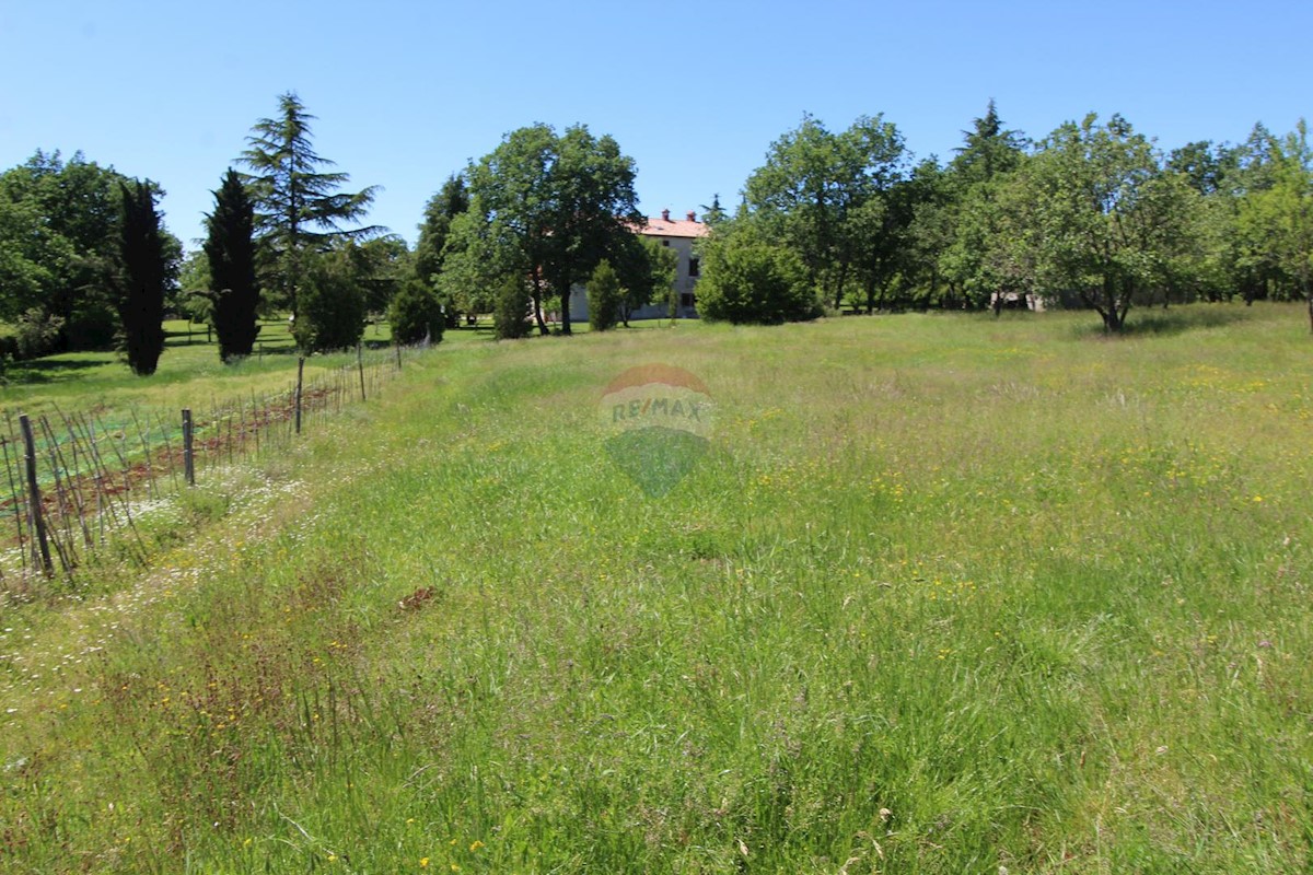 Terreno edificabile Kaštelir, Kaštelir-Labinci, 1.550m2