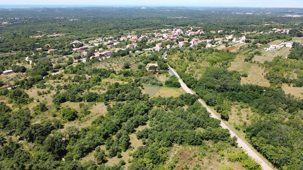 Terreno edificabile Svetvinčenat, 12.400m2