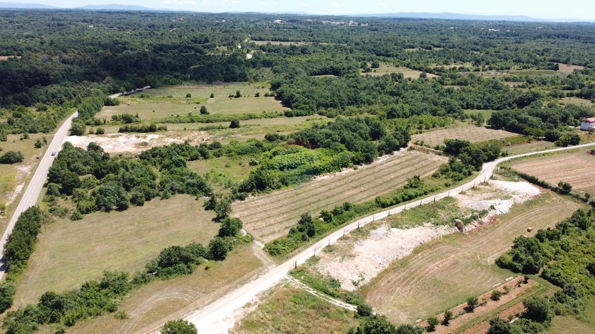 Terreno edificabile Svetvinčenat, 12.400m2