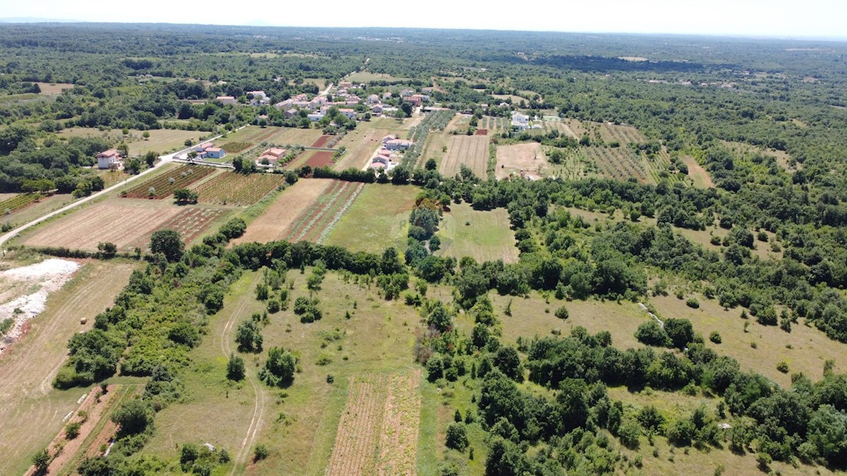 Terreno edificabile Svetvinčenat, 12.400m2