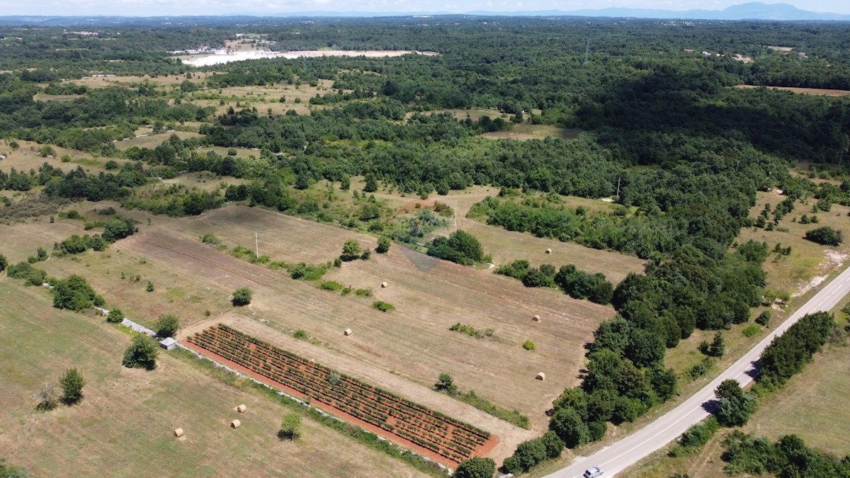 Terreno edificabile Svetvinčenat, 12.400m2