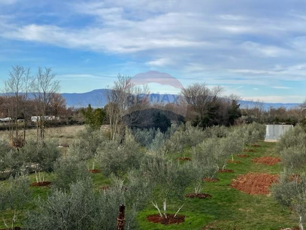 Casa Malinska, Malinska-Dubašnica, 147m2