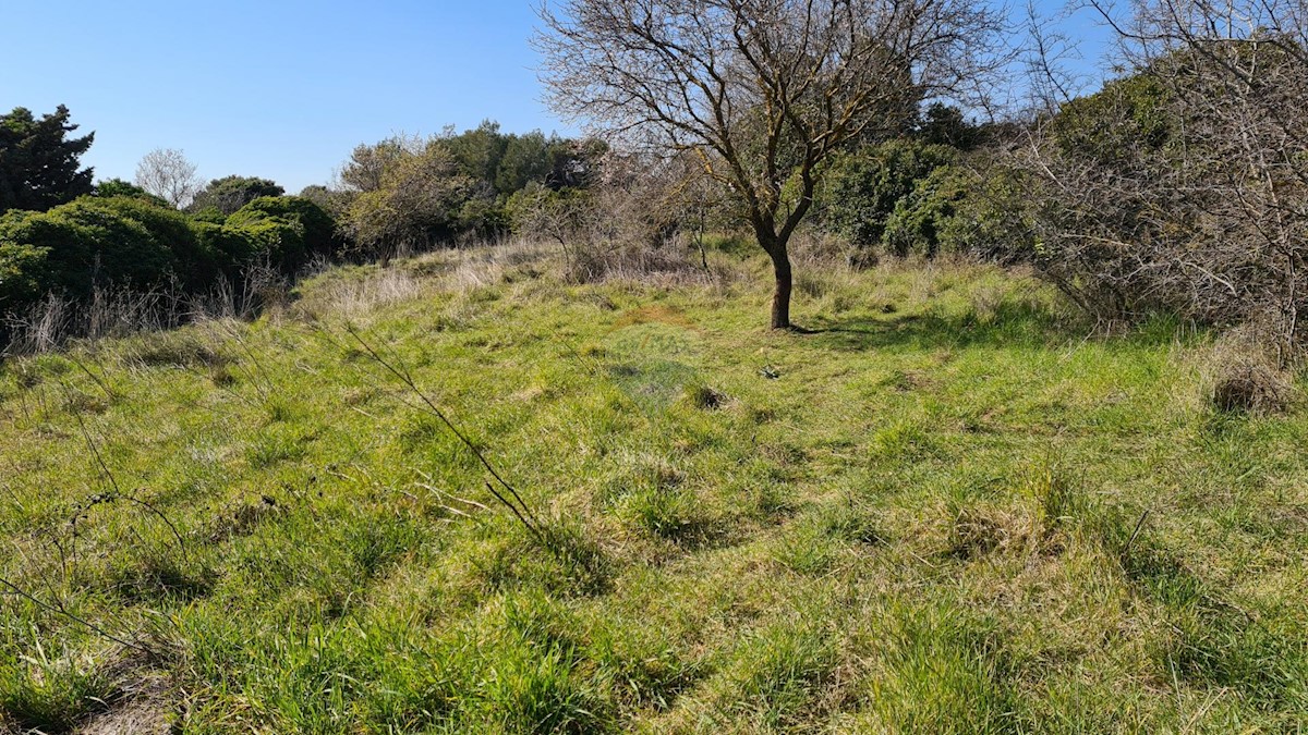 Terreno non edificabile Premantura, Medulin, 662m2