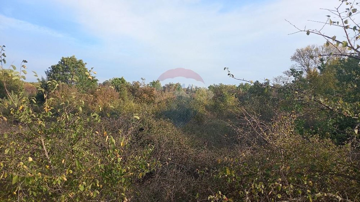 Terreno non edificabile Fažana, 8.970m2