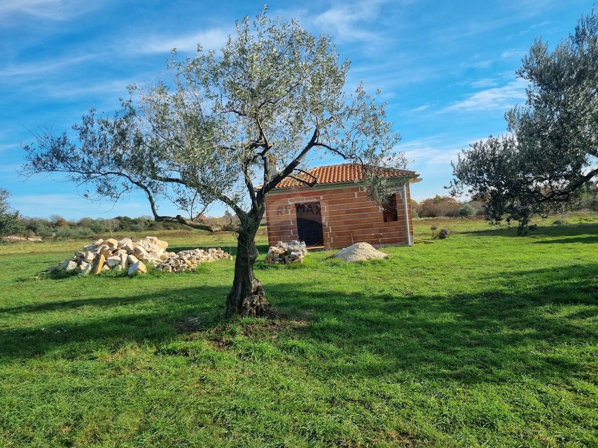 Terreno non edificabile Muntić, Ližnjan, 7.208m2