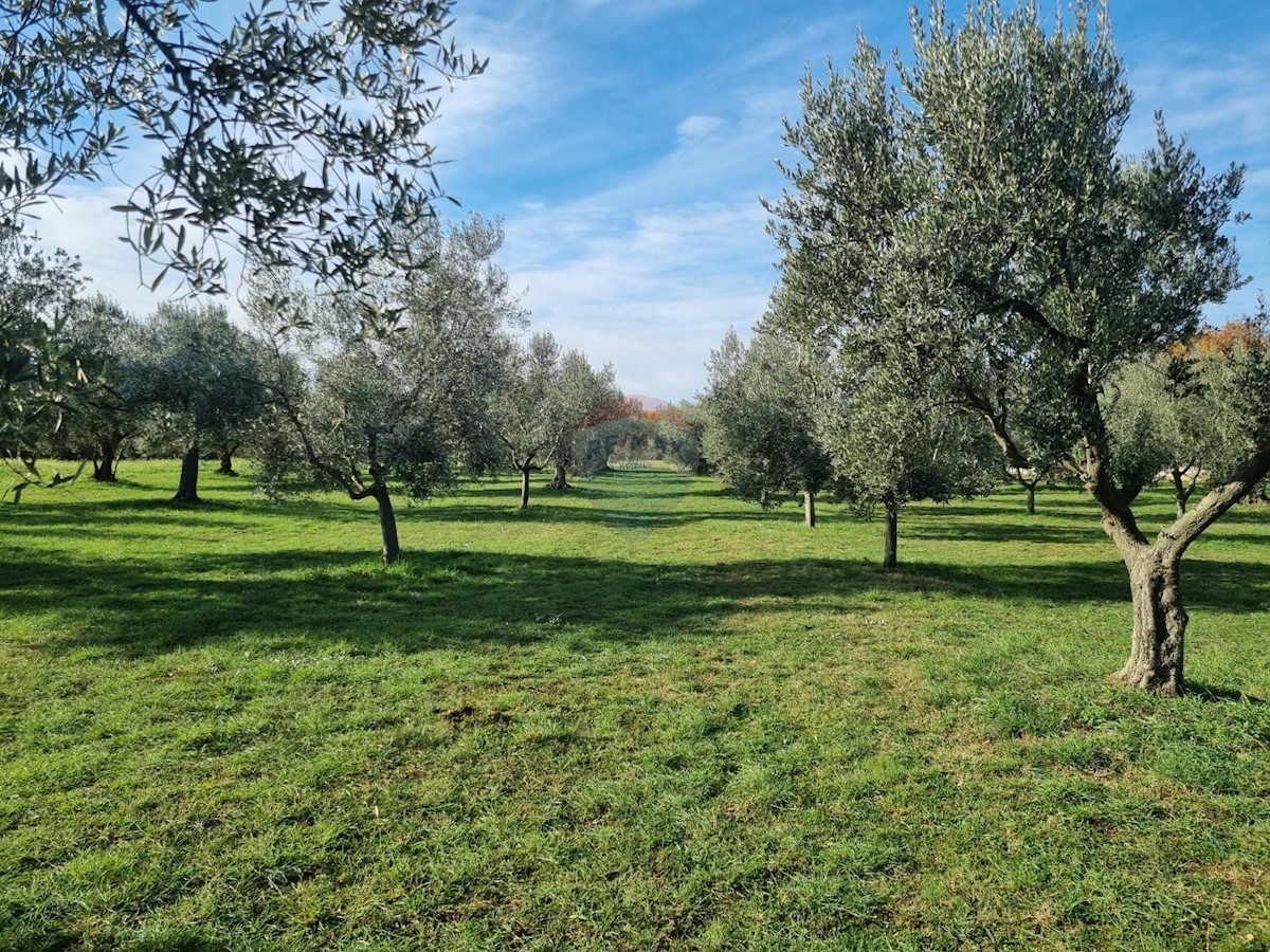 Terreno non edificabile Muntić, Ližnjan, 7.208m2