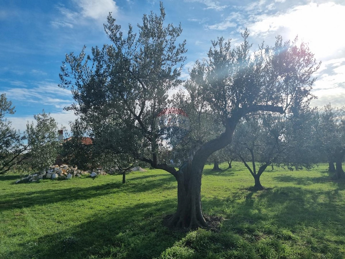 Terreno non edificabile Muntić, Ližnjan, 7.208m2