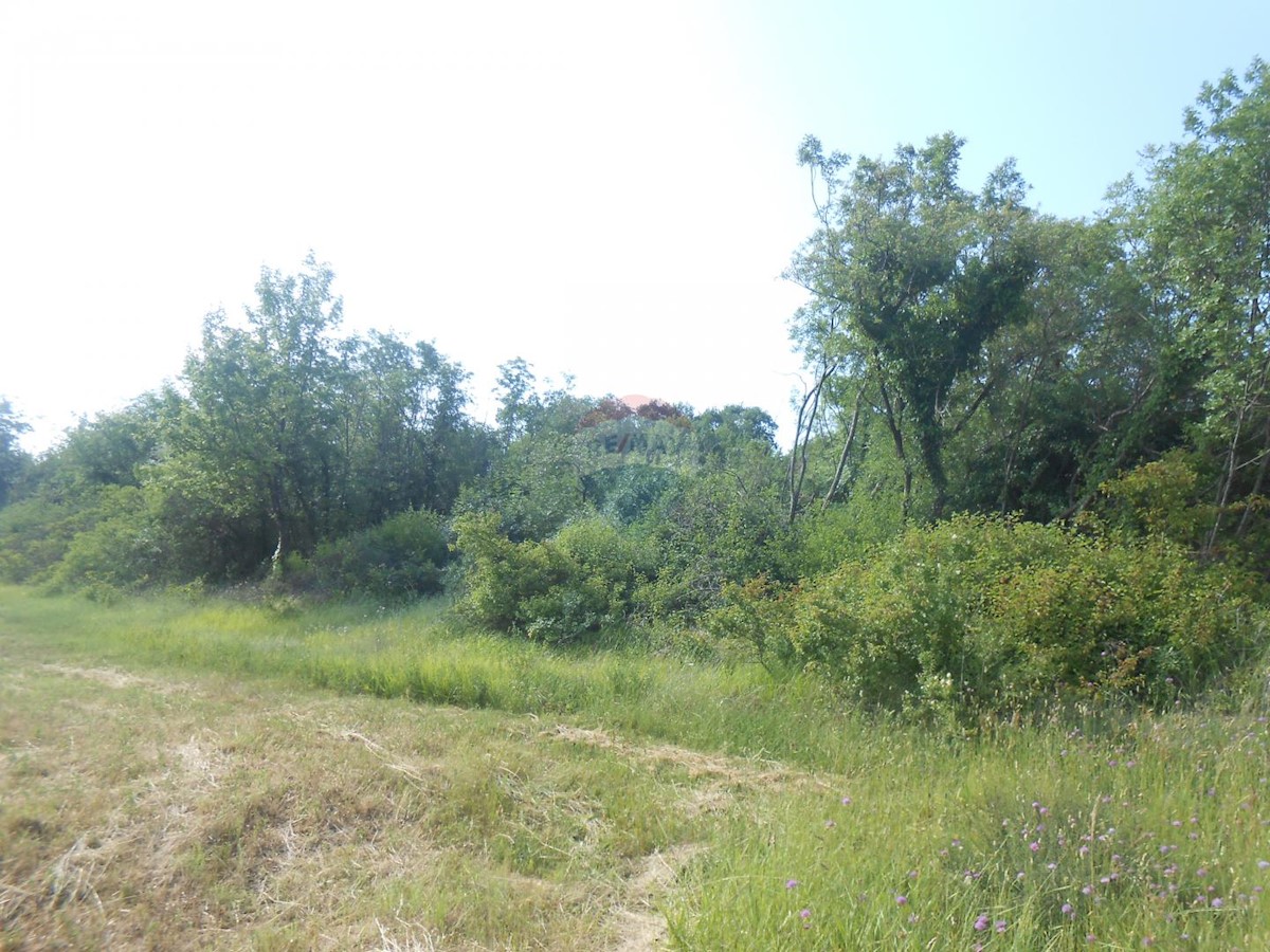 Terreno non edificabile Peruški, Marčana, 11.406m2