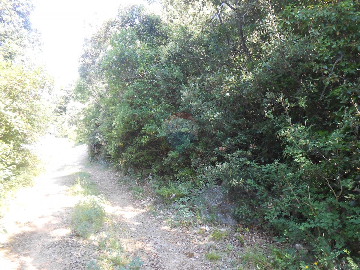 Terreno non edificabile Peruški, Marčana, 11.406m2