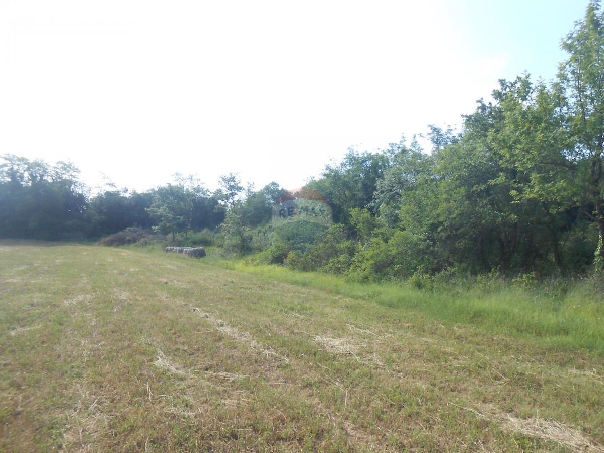 Terreno non edificabile Peruški, Marčana, 11.406m2