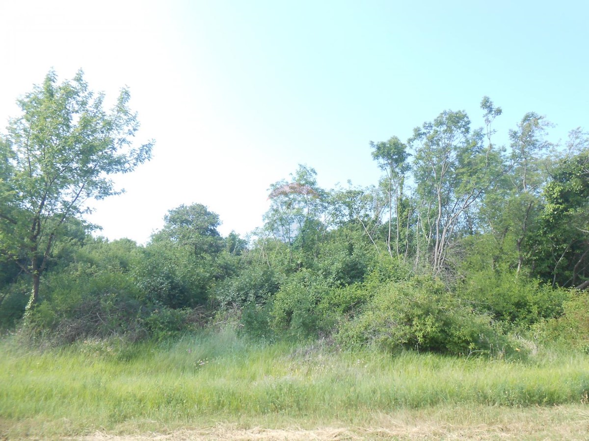 Terreno non edificabile Peruški, Marčana, 11.406m2