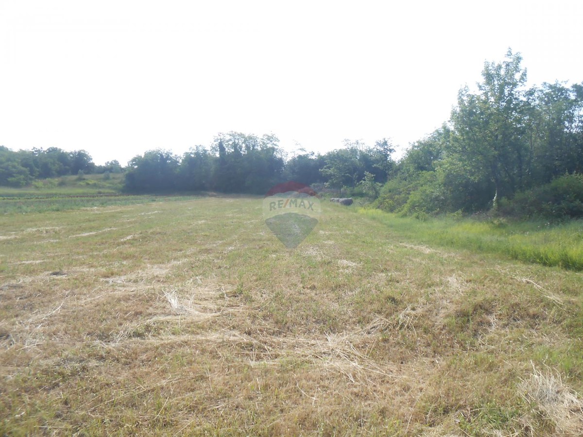 Terreno non edificabile Peruški, Marčana, 11.406m2