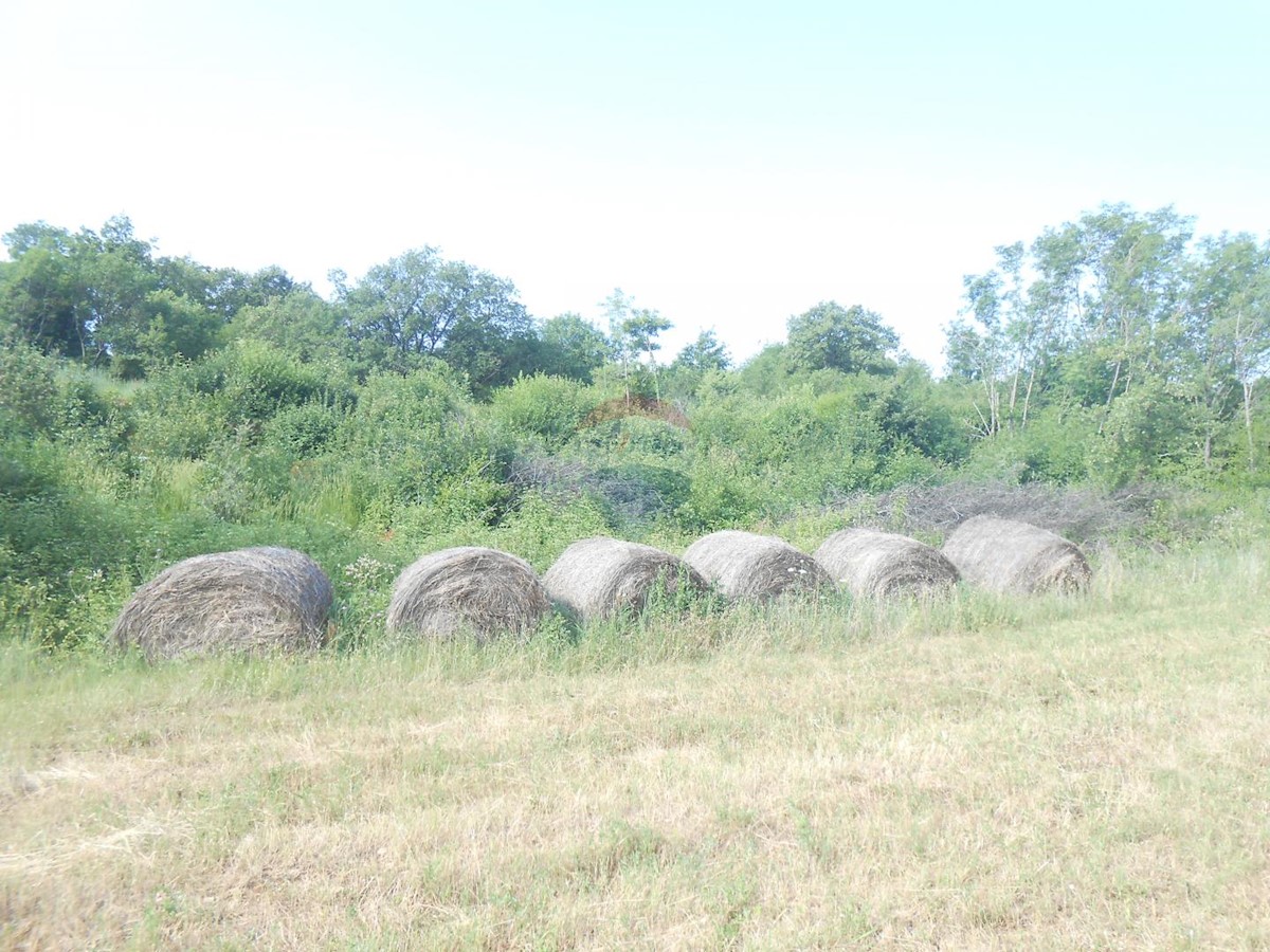 Terreno non edificabile Peruški, Marčana, 11.406m2