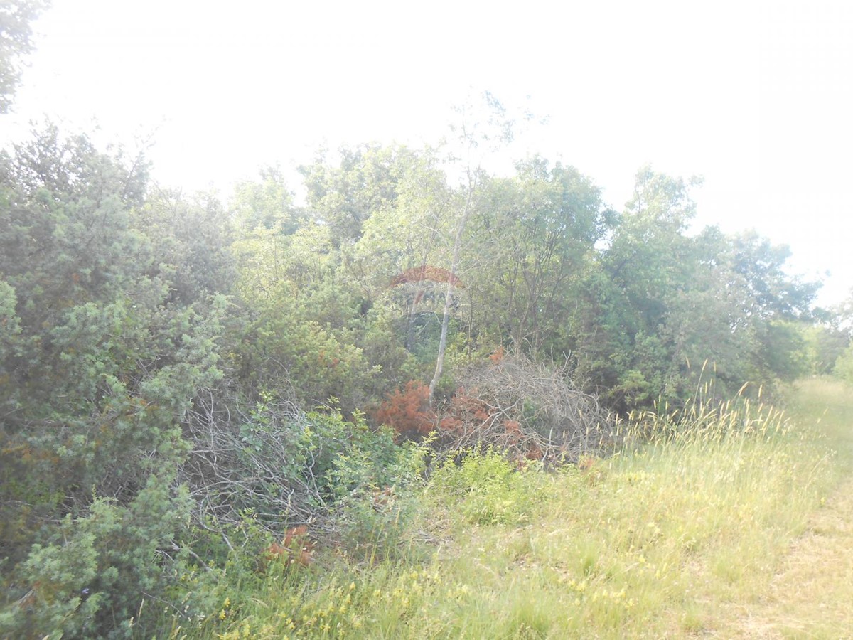 Terreno non edificabile Peruški, Marčana, 11.406m2