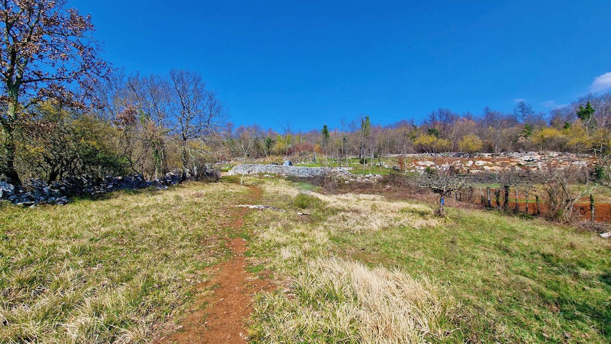 Terreno edificabile Završje, Grožnjan, 1.730m2