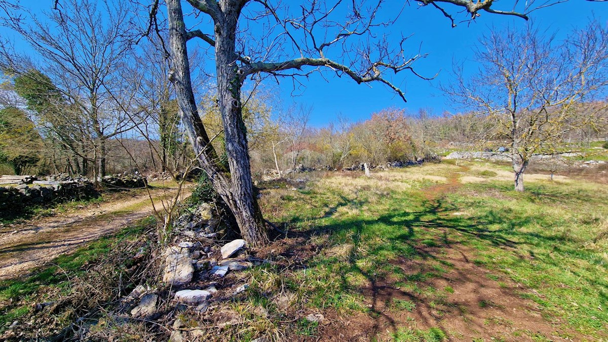 Terreno edificabile Završje, Grožnjan, 1.730m2