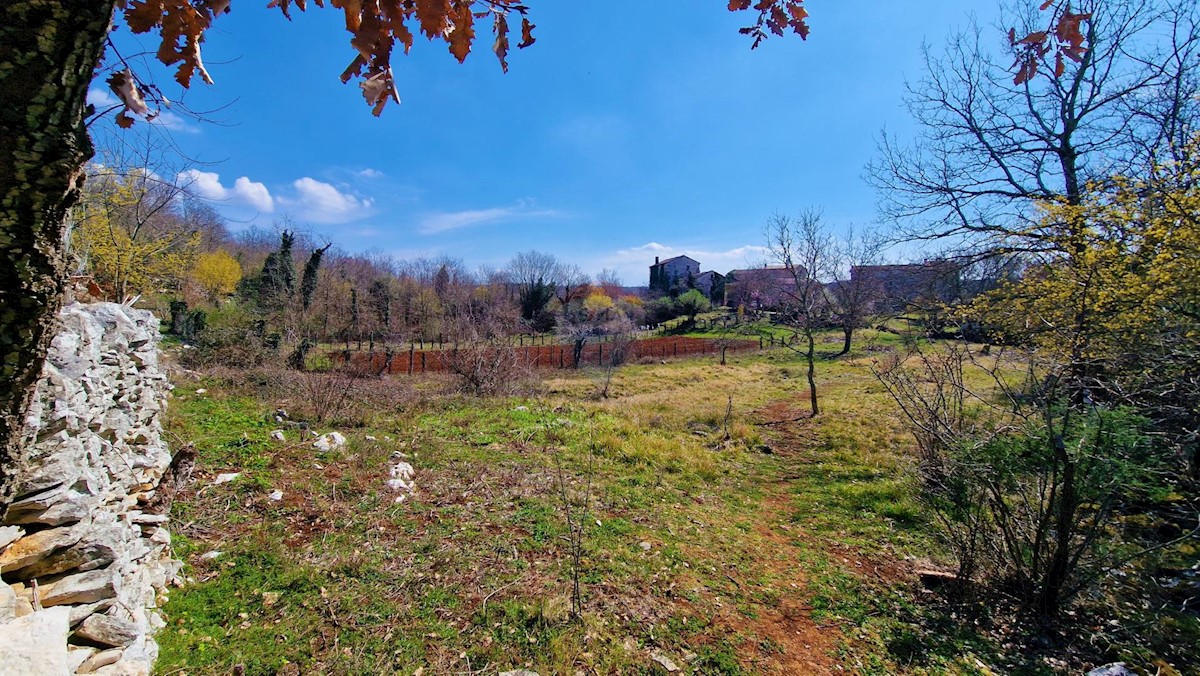 Terreno edificabile Završje, Grožnjan, 1.730m2