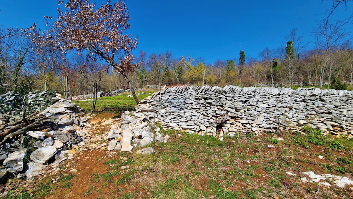 Terreno edificabile Završje, Grožnjan, 1.730m2