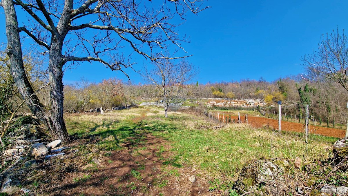 Terreno edificabile Završje, Grožnjan, 1.730m2