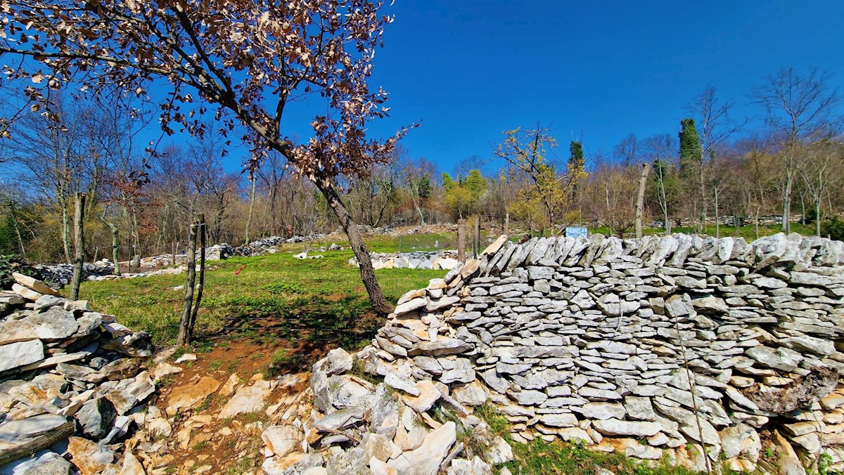 Terreno edificabile Završje, Grožnjan, 1.730m2