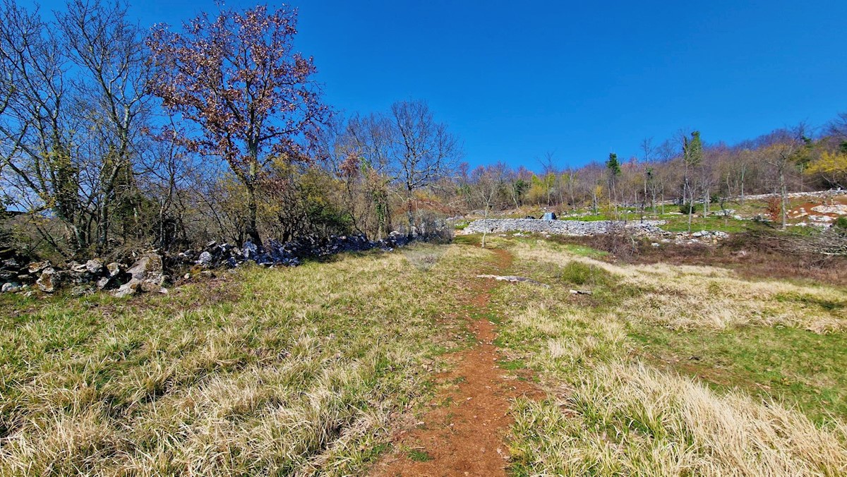 Terreno edificabile Završje, Grožnjan, 1.730m2