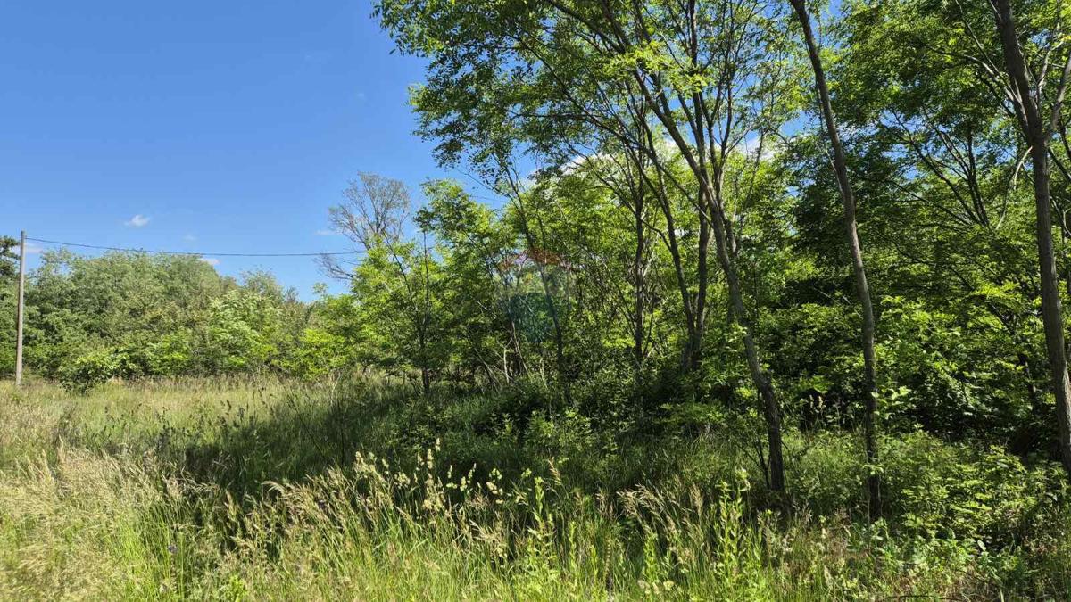 Terreno edificabile Šumber, Sveta Nedelja, 7.592m2
