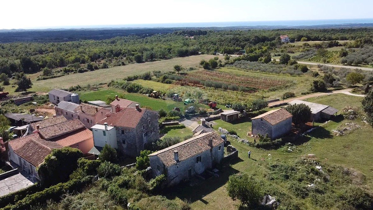 Casa Benčani, Višnjan, 300m2