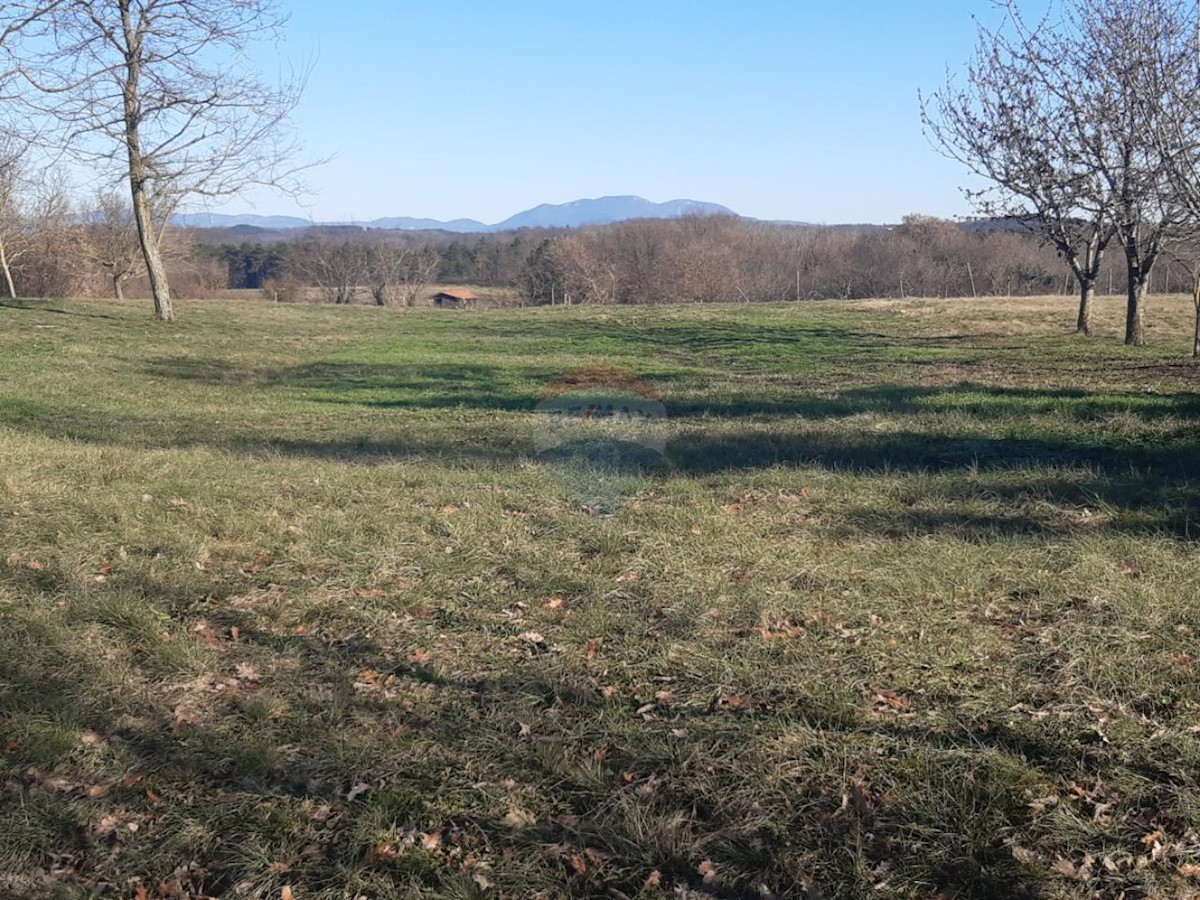 Terreno edificabile Beram, Pazin - Okolica, 1.975m2