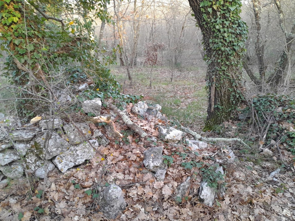 Terreno non edificabile Orbanići, Marčana, 13.704m2