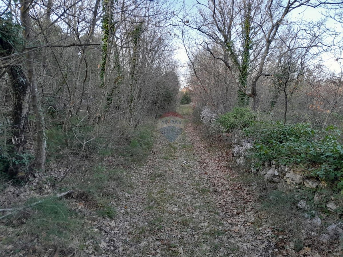 Terreno non edificabile Orbanići, Marčana, 13.704m2